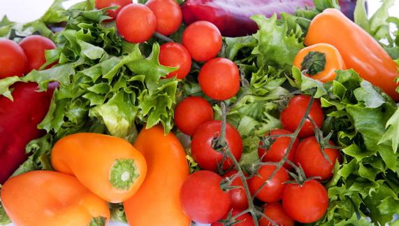 Pimientos, tomates y lechugas. 