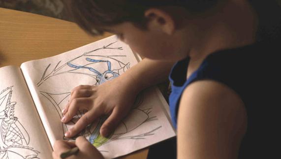Niño coloreando un dibujo.