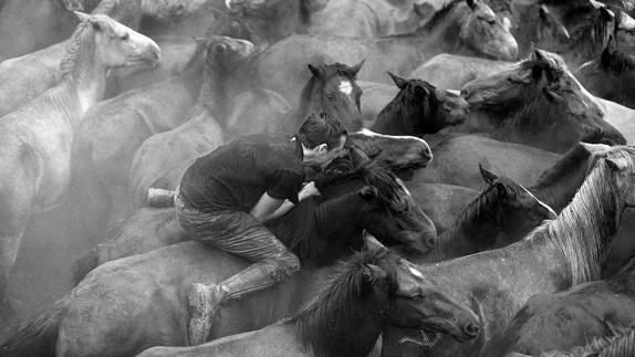 Un "aloitador" se monta en un caballo. 