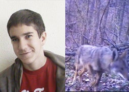 Un coyote por sorpresa