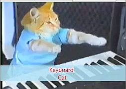 Google crea un avanzadísimo cerebro artificial y este decide buscar gatos en Internet