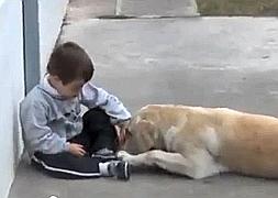 La ternura de un perro con un niño con síndrome de down