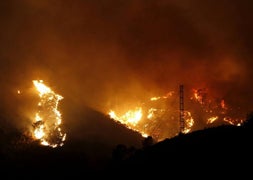 El fuego arrasó más de 8.000 hectáreas. :: Salvador Salas