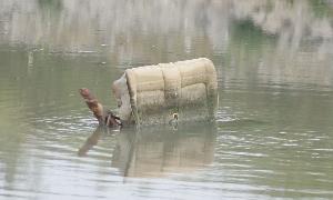 La desembocadura del Guadalhorce se ha convertido en un vertedero acuático de muebles. :: Fernando González