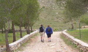 Imagen de un sendero en la zona de El Pinarillo, junto a la Fuente del Esparto. / E. CABEZAS