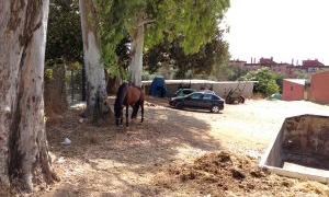 Denuncian la ampliación de las caballerizas que se debían haber trasladado hace más de ocho años