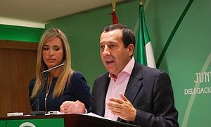 El delegado del Gobierno Andaluz en Málaga, José Luis Ruiz Espejo, esta mañana en rueda de prensa.