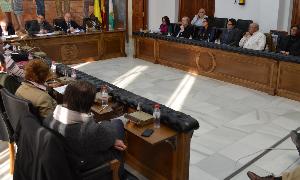 Imagen de un pleno en Rincón de la Victoria. / E. CABEZAS
