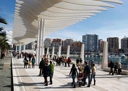 El Palmeral se ha convertido en una de las zonas más visitadas por malagueños y turistas. ::Ñito Salas