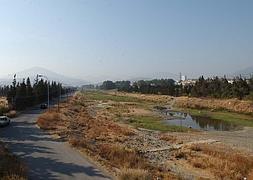 Grupos inversores árabes, suizos y españoles han mostrado su interés en levantar rascacielos en Marbella