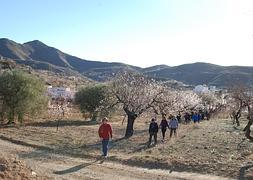 Excursionistas parten de los alrededores de Lubrín en la ruta de la semana pasada. Almería Información