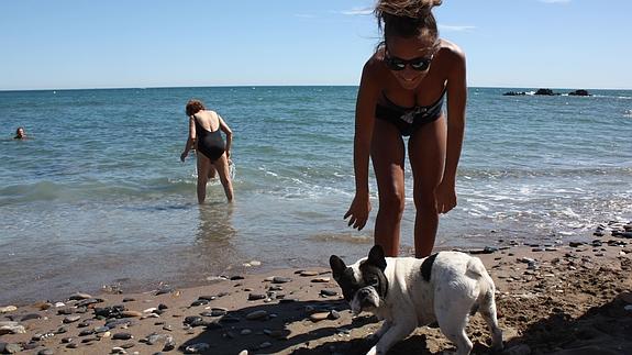 En principio se barajaron espacios como La Malagueta o Guadalmar.
