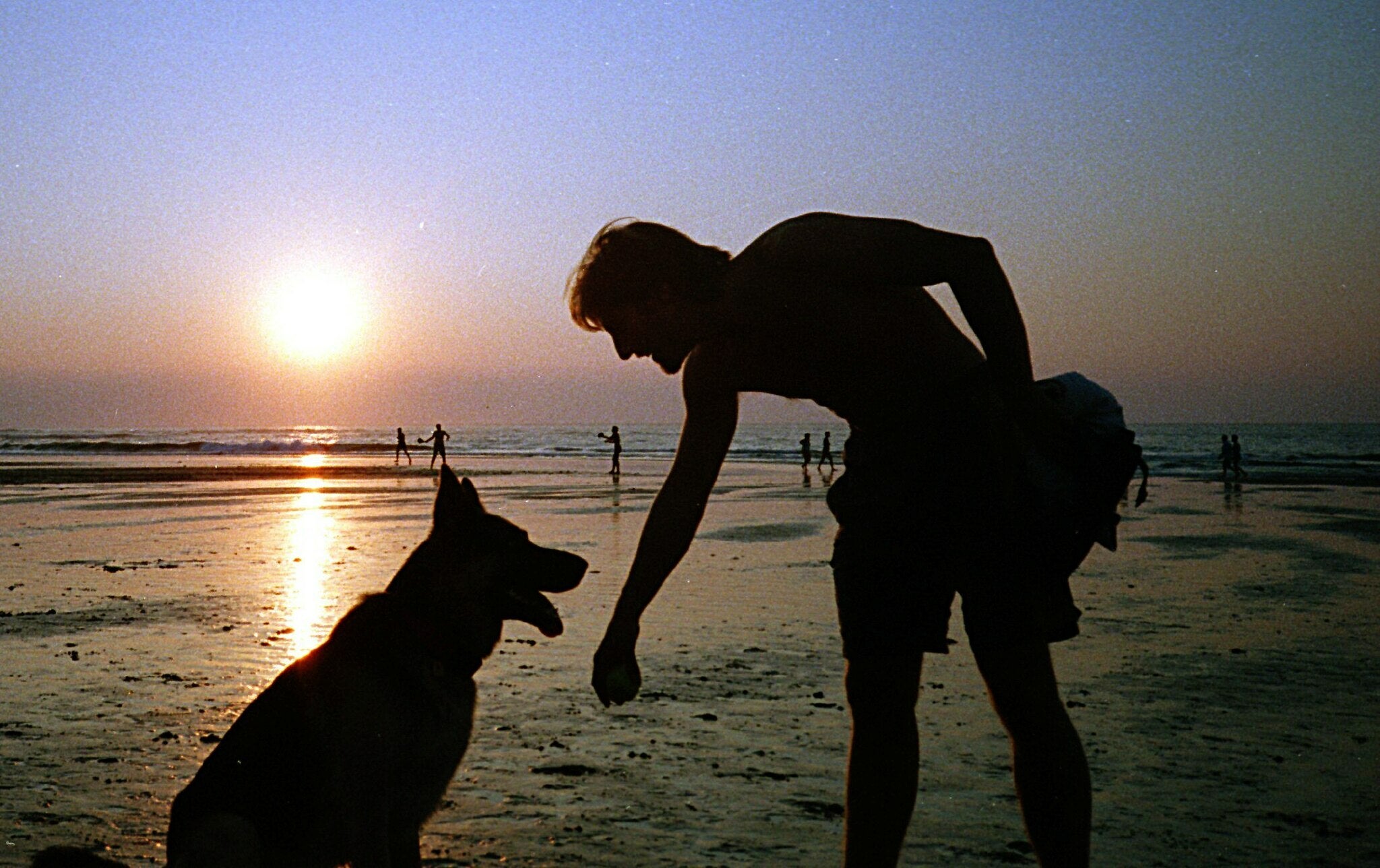 Guía práctica para llevar a tu perro a la playa en Málaga