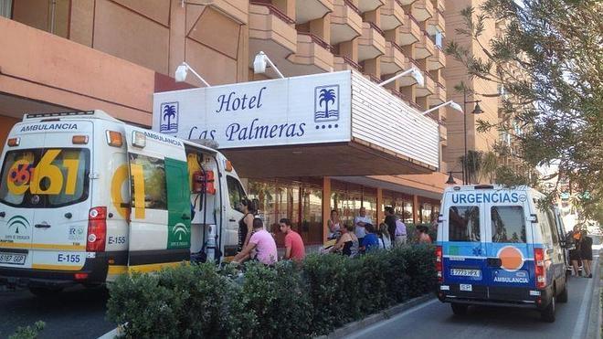 Amperio Pantera Encogerse de hombros Desalojan la piscina del Hotel Las Palmeras por un escape de cloro | Diario  Sur