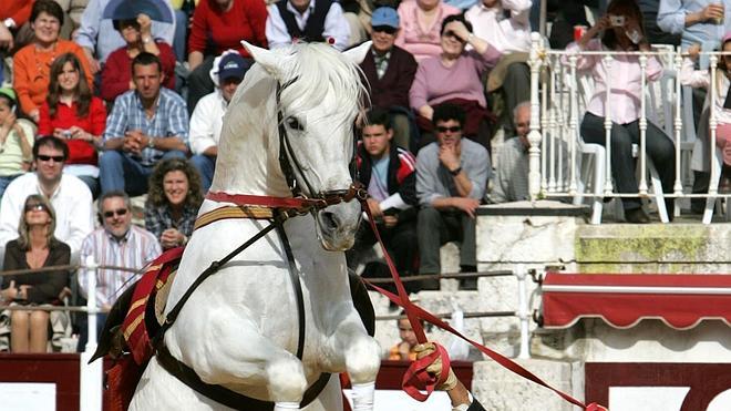 El Real de la Feria ofrece por primera vez un Centro de Exhibición Ecuestre