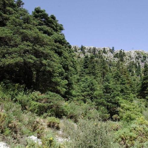 La Junta inicia el nuevo plan de ordenación de la Sierra de las Nieves para lograr su declaración como Parque Nacional