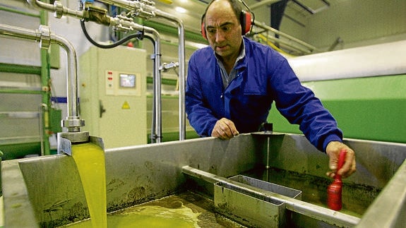 El aceite, uno de los productos más importantes en el sector agrícola.