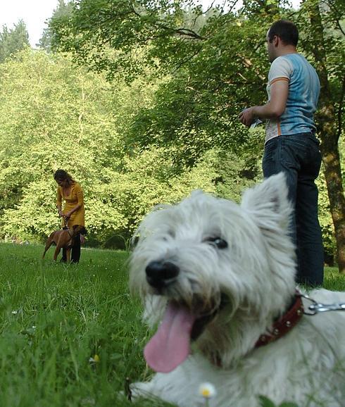 Qué parques existen en Málaga para mi perro