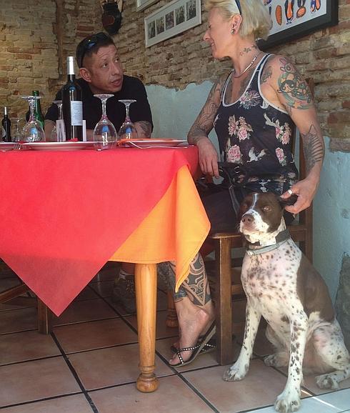 Bares y restaurantes donde comer con mi perro en Málaga