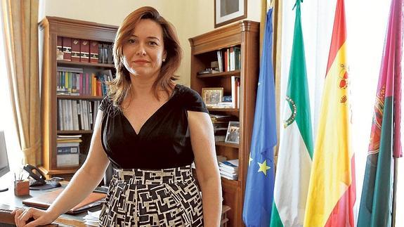 Martín Rojo, en su despacho en el Ayuntamiento de Málaga.