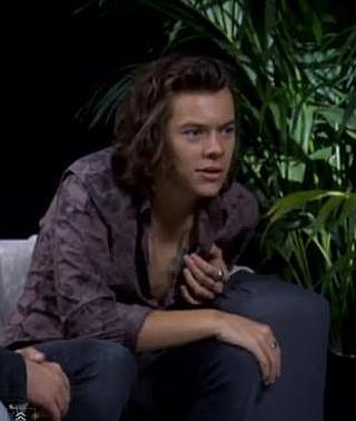 Harry Styles es bisexual | Diario Sur