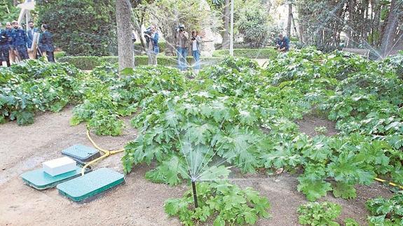 Nuevo sistema de riego instalado en el Parque.