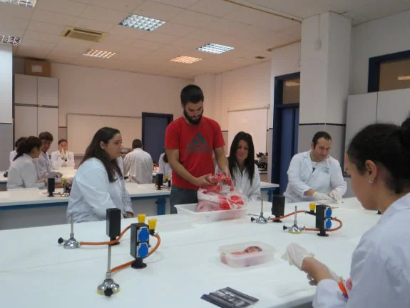 La disección del corazón de un cerdo se realizó en uno de los laboratorios de la Facultad de Ciencias :: irene quirante