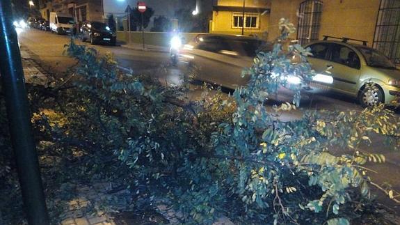 El viento dejó más de un centenar de incidencias el sábado en Málaga