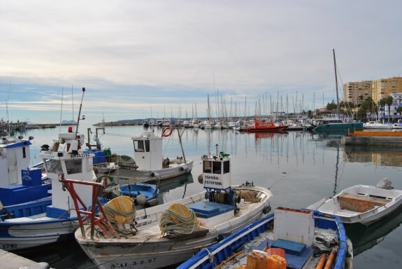 Pesqueros atracados en el puerto de Estepona. 