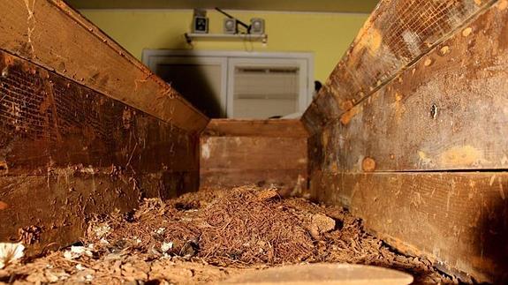 El interior del ataúd, muy deteriorado por los dieciocho años que estuvo bajo tierra. 