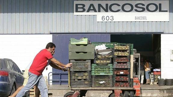 Miembros de Bancosol trasladan los alimentos recibidos.