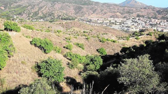 La cuenca del Guadalmedina, por encima de la ronda, fue repoblada para evitar inundaciones.