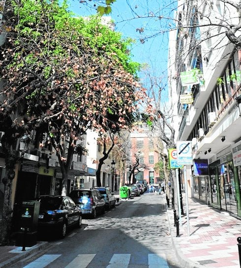 Estado actual que presenta la calle Sierra Blanca. :: josele-lanza
