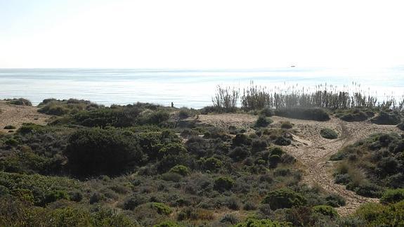 Las obras de regeneración de las Dunas de Artola de Marbella se iniciarán tras Semana Santa