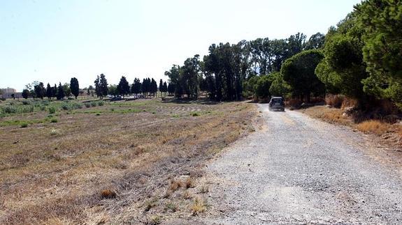 El Ayuntamiento realizó algunas de las obras para el parque del Benítez sin tener aprobado el plan urbanístico, que aún no está en vigor. 