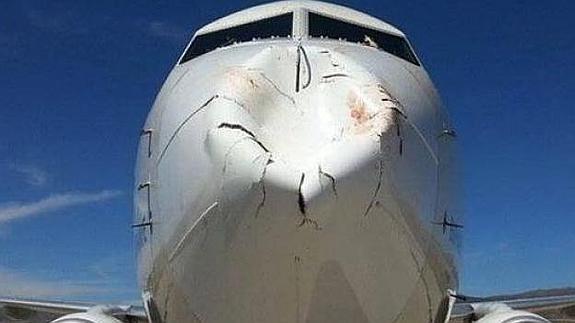 Estado del morro del Boeing.