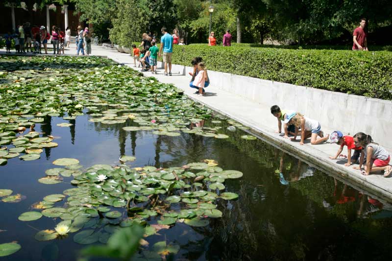 Domingo en el Jardín Botánico