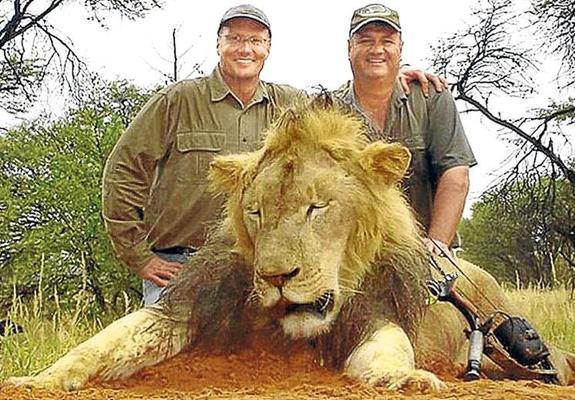 Walter James Palmer (izquierda) posa junto a un león muerto. 