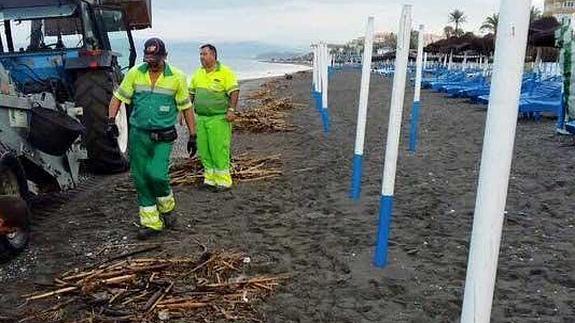 Cañas acumuladas en la playa de Ferrara, en Torrox-Costa y operarios de Limpieza. 