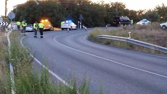 Varias patrullas de la Guardia Civil han acudido al lugar del siniestro.