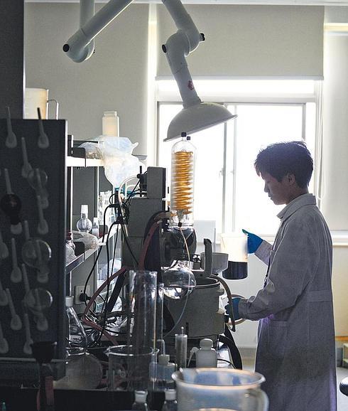 Un químico trabaja en un laboratorio de la farmacéutica Green Valley, en Shanghái. 