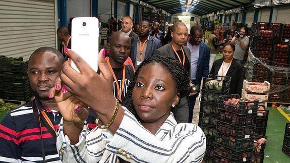 Una veintena de trabajadores africanos han comenzado hoy en Mercamálaga un curso de formación. 