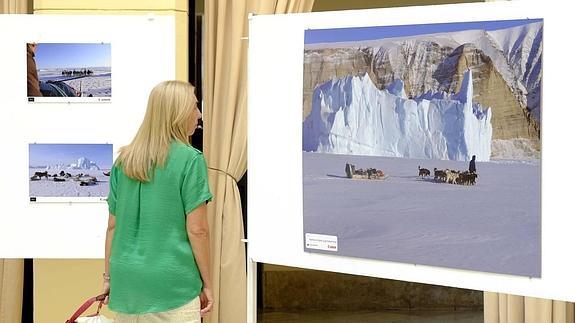 La exposición 'Desafío Ártico' se instala en el Patio de Banderas del Ayuntamiento