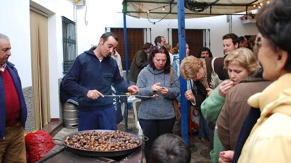 Pujerra celebra la Fiesta de la Castaña este fin de semana. 