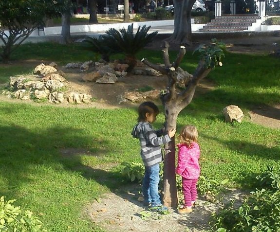 Dos niños rodean uno de los cuatro árboles talados. :: m. g.
