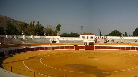 Una plaga de ratas procedente de la plaza de toros de Benalmádena llega hasta una protectora de animales