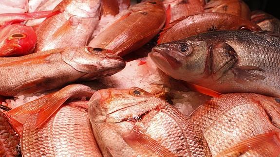 Consumo de seguro de pescado