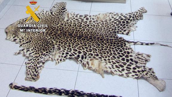 Alfombra incautada. 