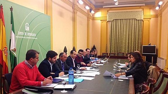 Reunión del consejo rector de La Cónsula hoy