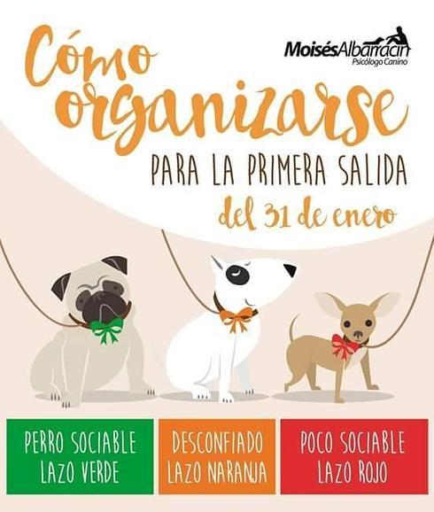 Málaga se suma a #LaManadaCanina